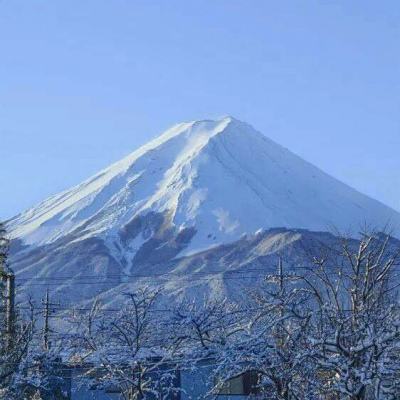 东修西补手机版(暂未上线)v1.0.1 安卓版